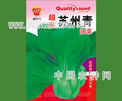 超纯苏州青油菜